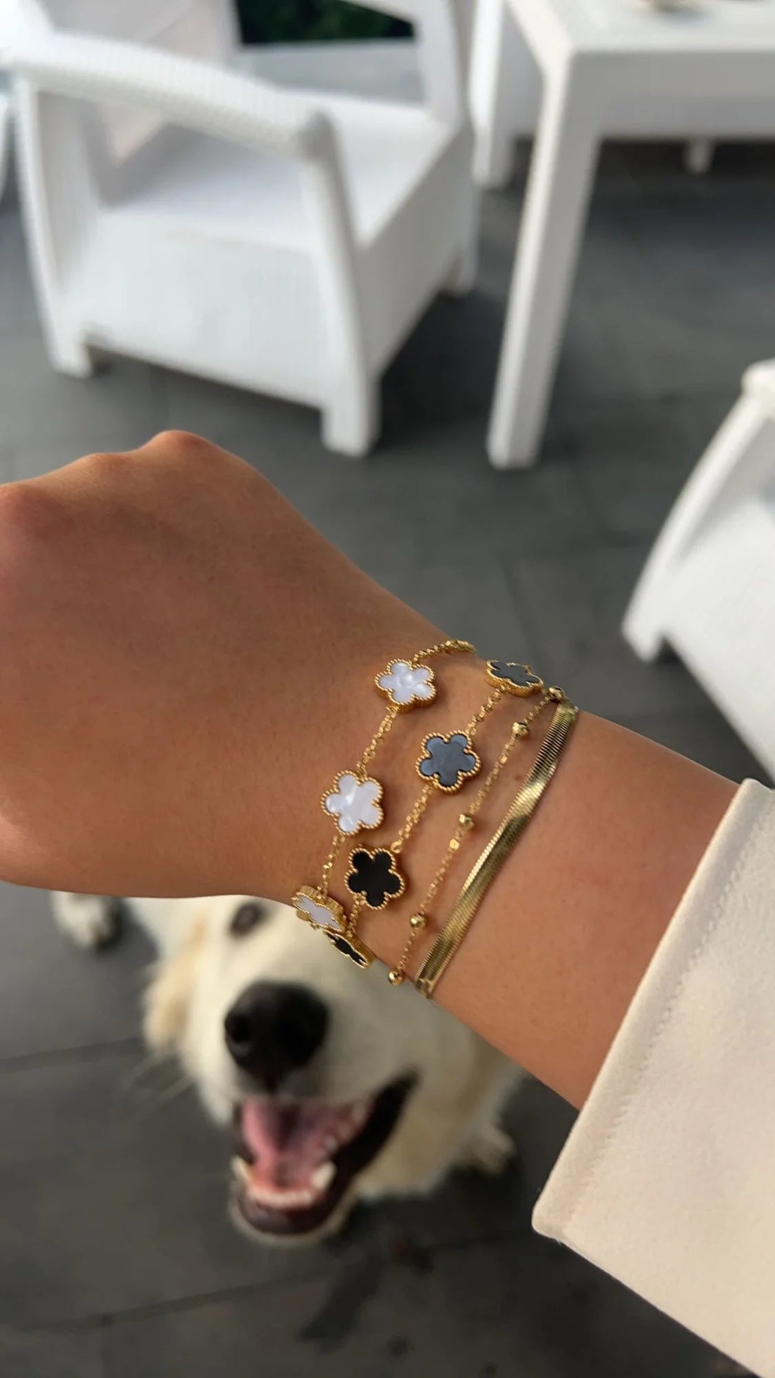 Sweet And Cute Plum Blossom New Design Plant Five Leaf Flower Adjustable Bracelet Women's Luxury Shell Stainless Steel Clover